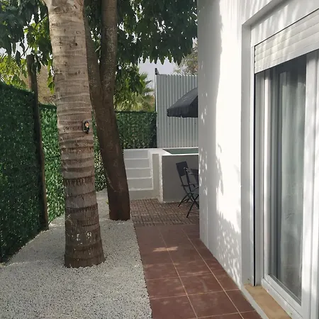 Abba-3