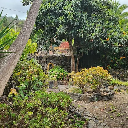 Oasis Hill Botanical Garden-2