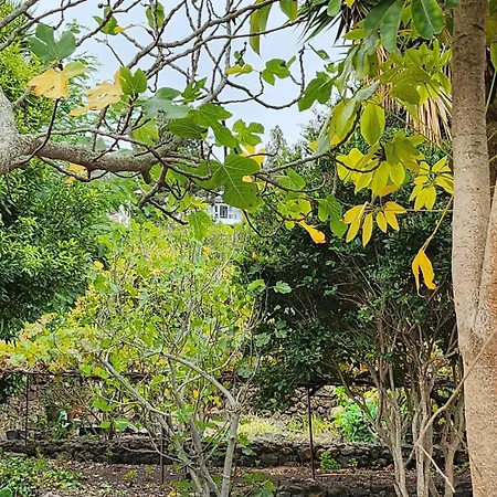 Oasis Hill Botanical Garden-3