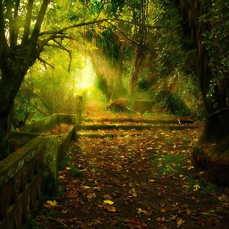 Centro de Naturaleza Cañada Verde El Bosque Encantado de Córdoba-3