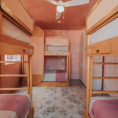 Casa Amate 61 - Mérida centro-3