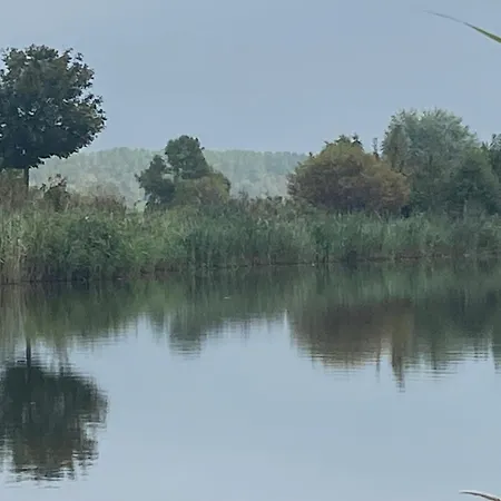 Ecolodge Almere With Private Outdoor Terrace & Beach-3