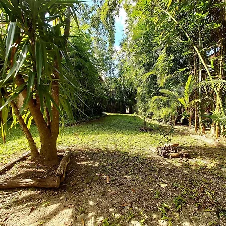Mini Pini Birdwatching And Cenote Loft4 You Only-2