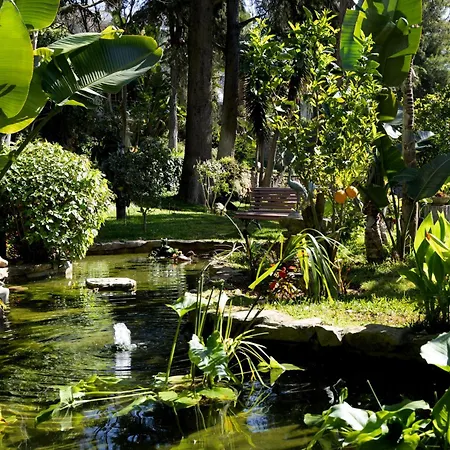 Casa Vela Boutique House & Spa-3