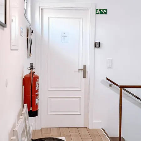 Ninho D'Arara-2