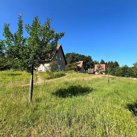 Bispinger Heidezauber - Haus Felsenbirne-3