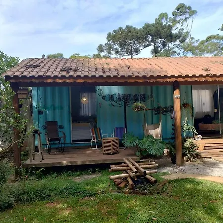 Casa Container na mata atlântica-3