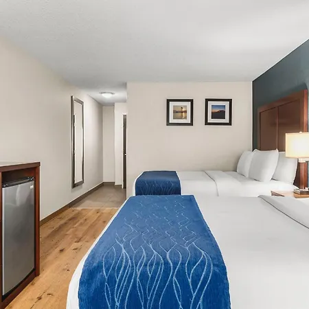 Comfort Inn & Suites Vancouver Downtown City Center-3