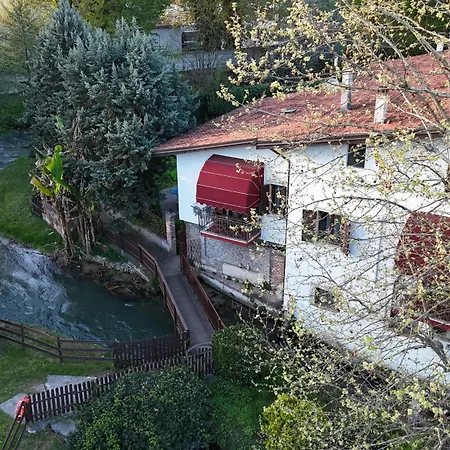 Villa Vitti's - Verona est-2
