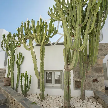 Damianos Mykonos Hotel-3