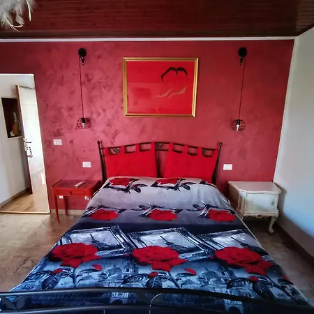 La casa sul tetto, Room's&Glamping-2