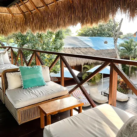 Mimosa Tulum-2