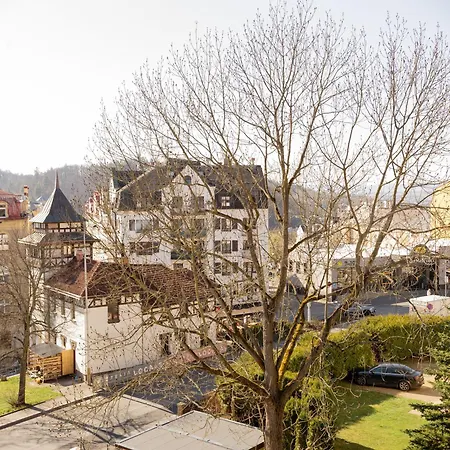 Villa Leopold - Apartmanovy Dum-3