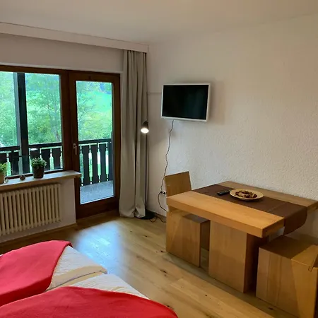 Hotel Josen-3