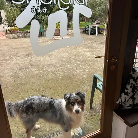 Magione B&B-3