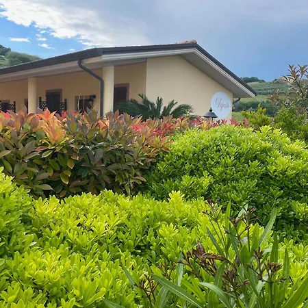 Vigneto - Italian Restaurant&B&B-2