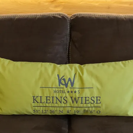 Hotel Kleins Wiese-3