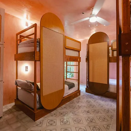 Casa Amate 61 - Mérida centro-2