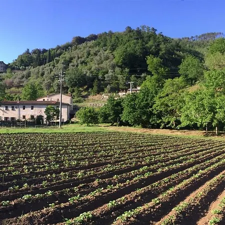Il Mulino di Celle-2