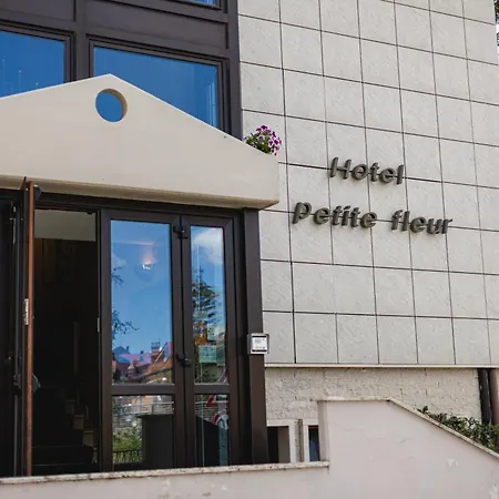 Hotel Petite Fleur-3