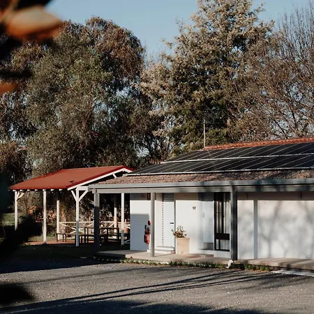 The Cudgee At Mudgee-3