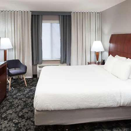 Hilton Garden Inn Austin North-3