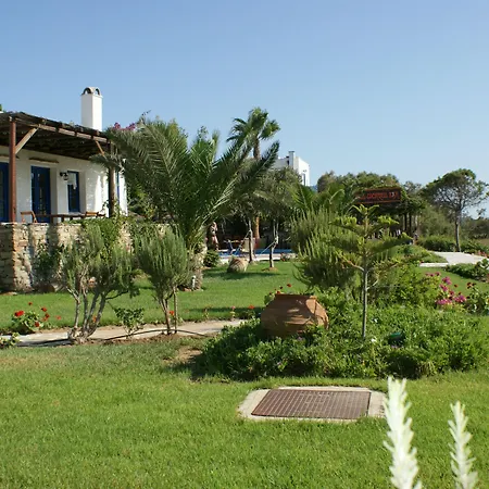 Alkyoni Beach Hotel-2