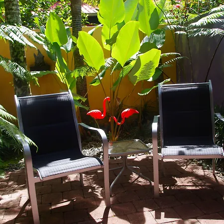 Pink Flamingo Resort-3