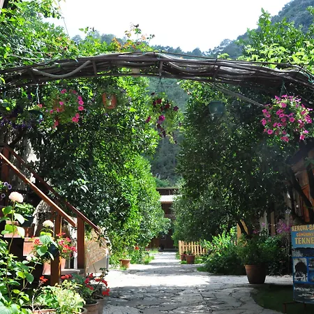 Turkmen Tree Houses-3