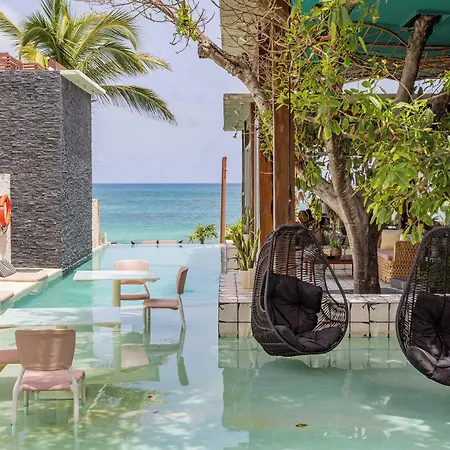 Mi Amor By La Zebra, An Slh Hotel (Adults Only)-2