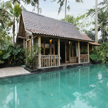 Ubud Virgin Villa-2