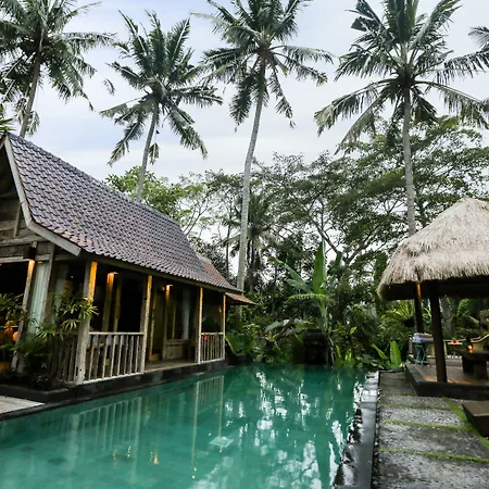 Ubud Virgin Villa-3