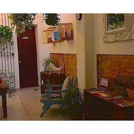 Casa Canario Hostel-3