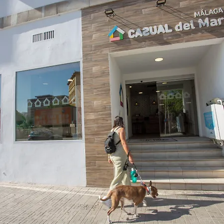 Casual Del Mar Malaga By Casual Hoteles-3