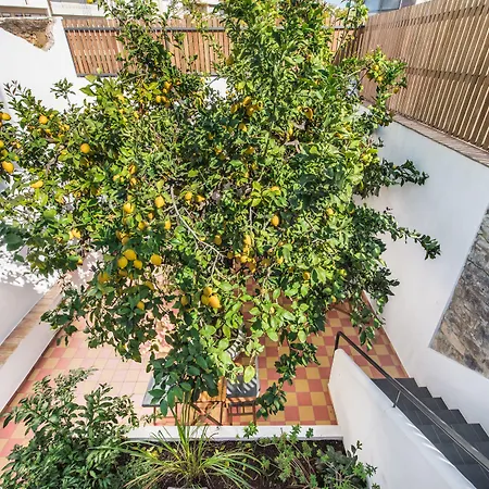 Lemon Tree Stay-3