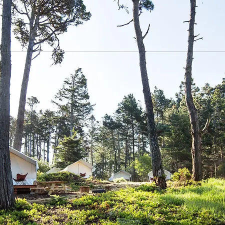 Mendocino Grove-2