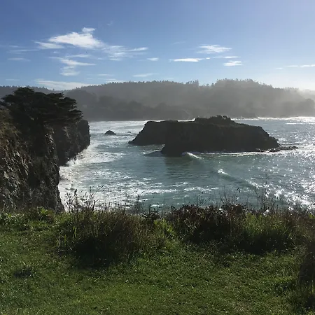 Mendocino Grove-3