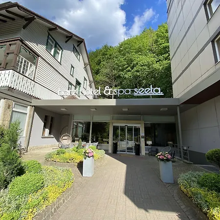 Harz Hotel&Spa Seela-3