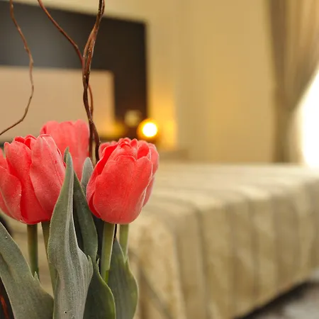 Hotel Gabbiano-3