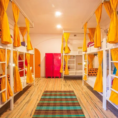 Gostops Lite Jaipur-3
