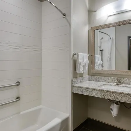 Best Western Plus Tech Medical Center Inn-3