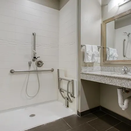 Best Western Plus Tech Medical Center Inn-2