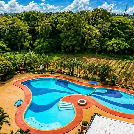 Forest Crest Nature Hotel And Resort-2