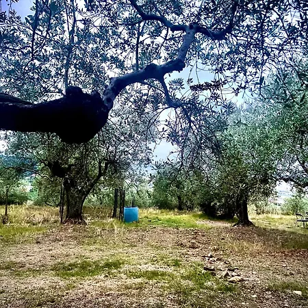 Poggio Alla Pieve Relais-3