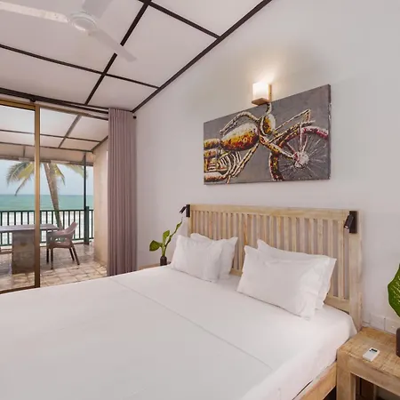 Hikks Villa Beachfront With Pool-3
