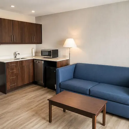 Comfort Inn & Suites Ambassador Bridge-3