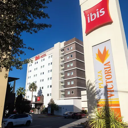 Ibis Chihuahua-3