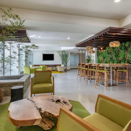 Condado Palm Inn San Juan, Tapestry Collection By Hilton-3