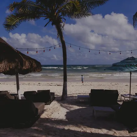 Villa Las Estrellas Tulum - located at the party zone-2