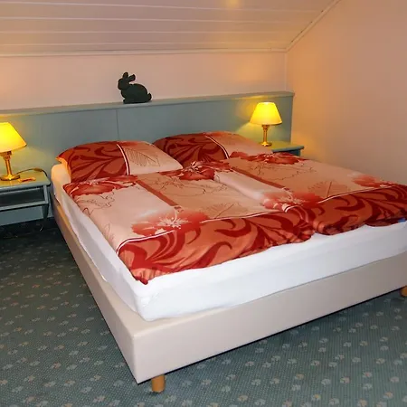 Hotel Grüner Baum-3